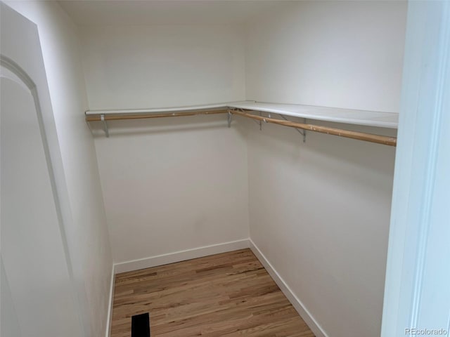 3866 S King St, Denver, CO 80236 - walk in closet with light wood-type flooring