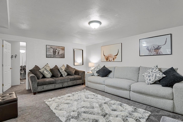 living room featuring carpet and a textured ceiling