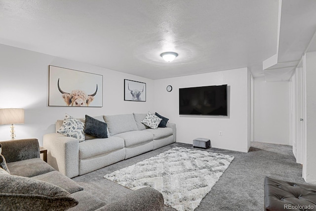 carpeted living room with a textured ceiling