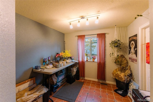 919 Taylor Ln, Erie, CO 80516 - entryway featuring a textured ceiling and baseboards