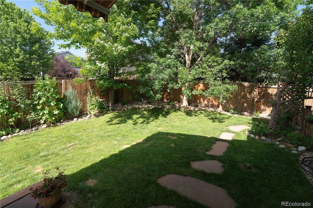 919 Taylor Ln, Erie, CO 80516 - view of fenced backyard