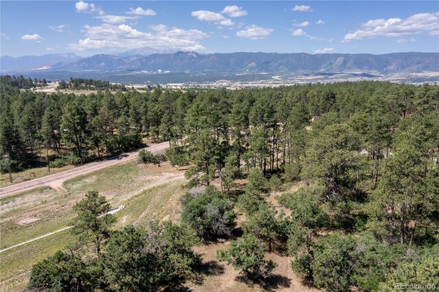 331 Grandwood Dr, Monument, CO 80132 - photo 3