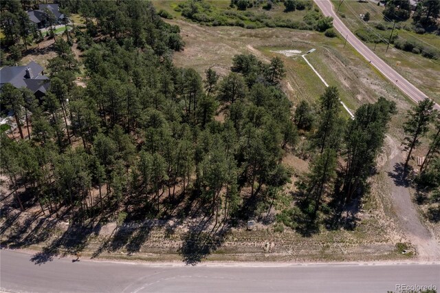331 Grandwood Dr, Monument, CO 80132 - photo 6