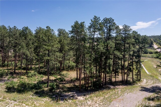 331 Grandwood Dr, Monument, CO 80132 - photo 8