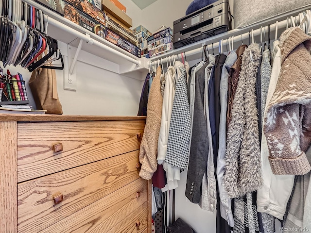 view of walk in closet