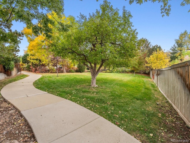 view of yard featuring a fenced backyard