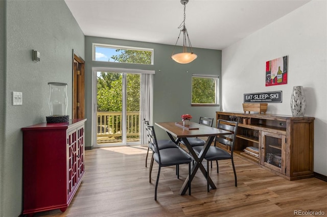 107 Mountain Vista Ln, Silverthorne, CO 80498 - dining space with wood finished floors and a textured wall