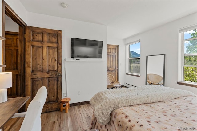 107 Mountain Vista Ln, Silverthorne, CO 80498 - bedroom featuring wood finished floors and a baseboard radiator