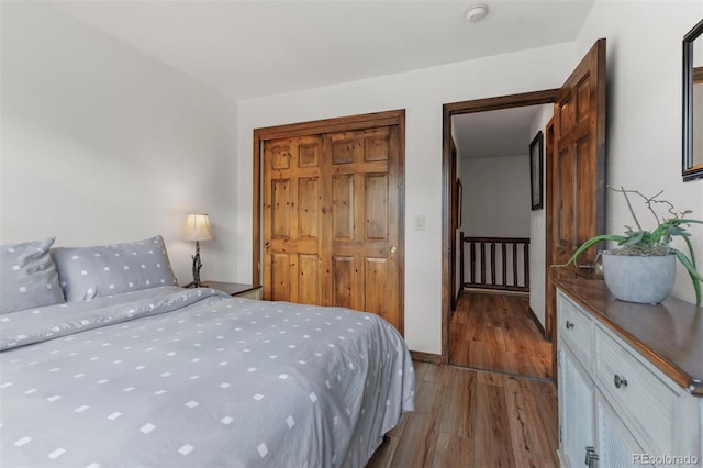 107 Mountain Vista Ln, Silverthorne, CO 80498 - bedroom with wood finished floors and a closet