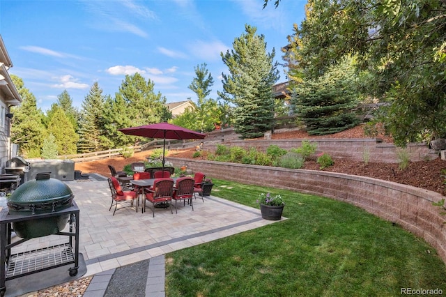 view of yard featuring a patio area