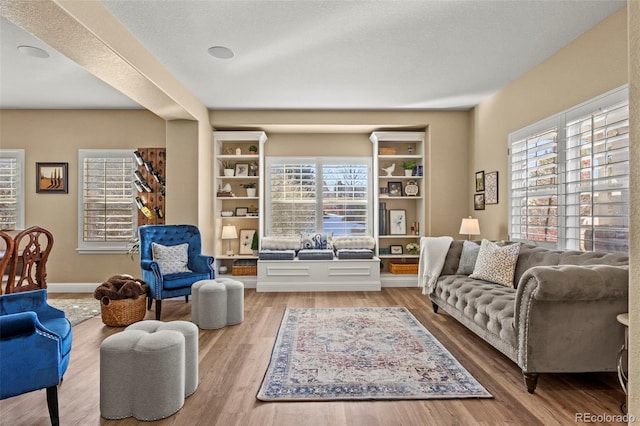 living room featuring hardwood / wood-style floors