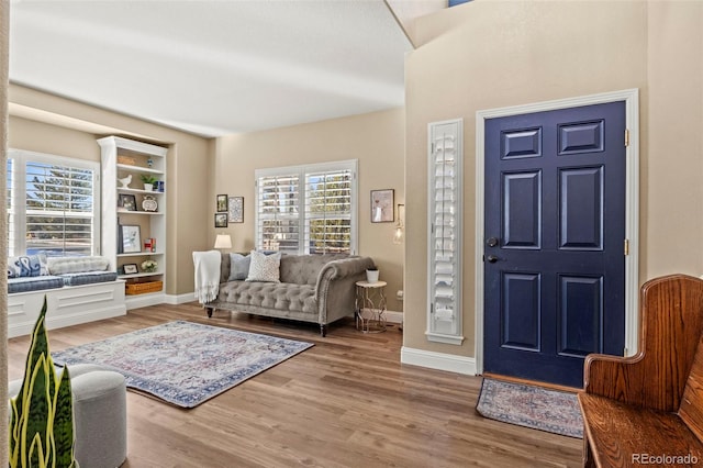 foyer with wood-type flooring