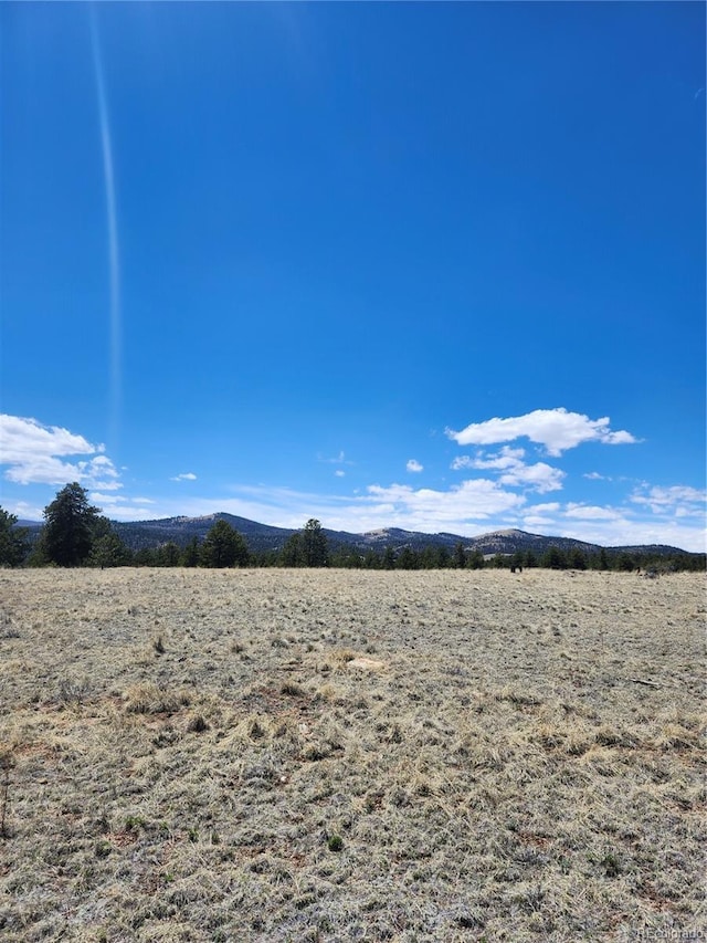 139 Wakonda Ln, Hartsel, CO 80449 - photo 2