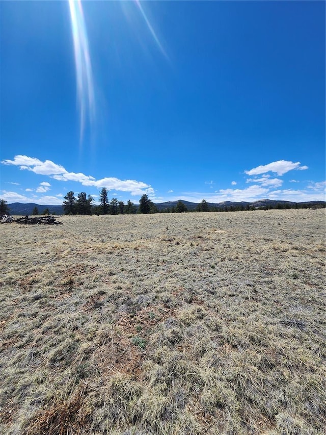139 Wakonda Ln, Hartsel, CO 80449 - photo 3