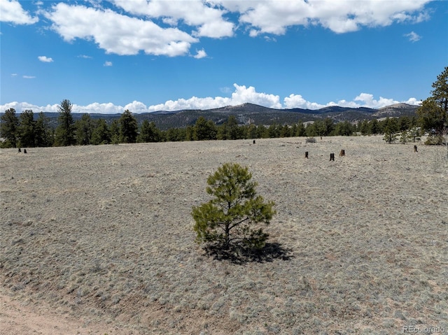 139 Wakonda Ln, Hartsel, CO 80449 - photo 4