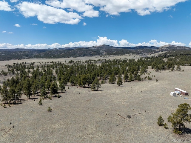 139 Wakonda Ln, Hartsel, CO 80449 - photo 5