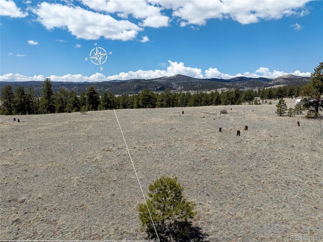 139 Wakonda Ln, Hartsel, CO 80449 - photo 6