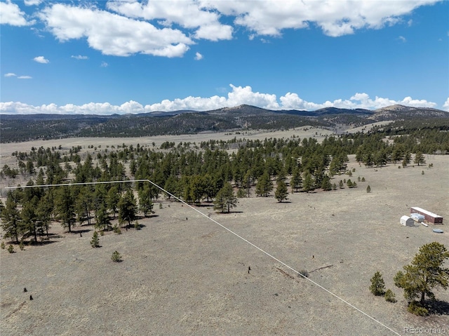 139 Wakonda Ln, Hartsel, CO 80449 - photo 7