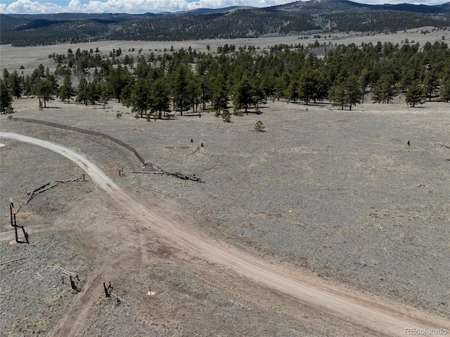 139 Wakonda Ln, Hartsel, CO 80449 - photo 8