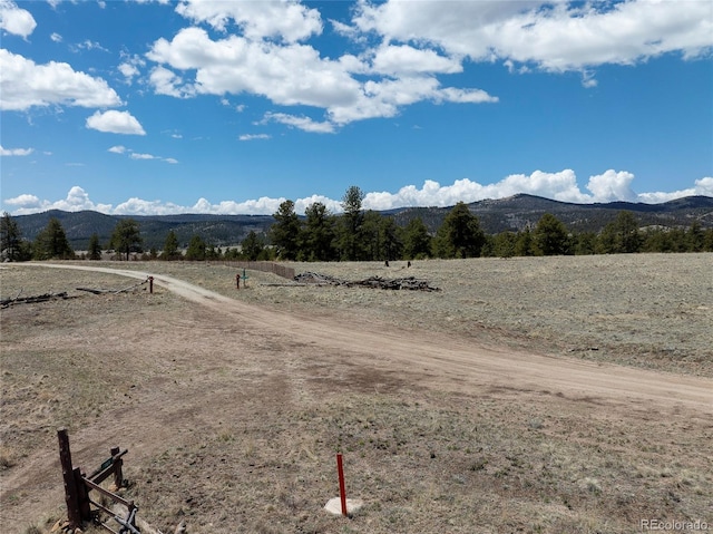 139 Wakonda Ln, Hartsel, CO 80449 - photo 9