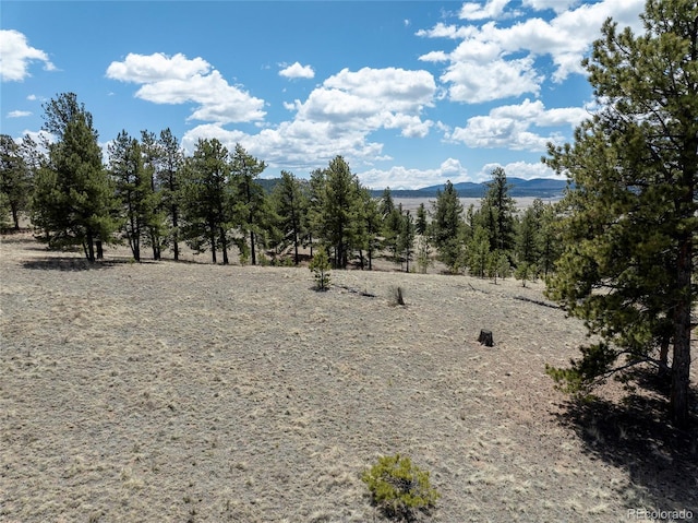139 Wakonda Ln, Hartsel, CO 80449 - photo 10