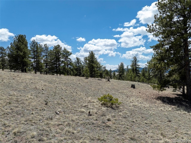 139 Wakonda Ln, Hartsel, CO 80449 - photo 11