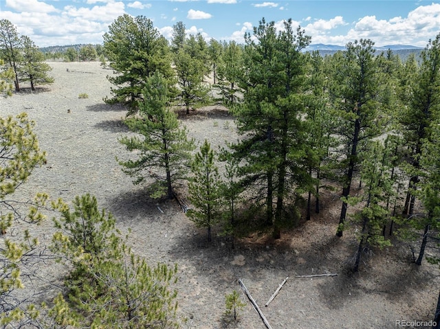 139 Wakonda Ln, Hartsel, CO 80449 - photo 12