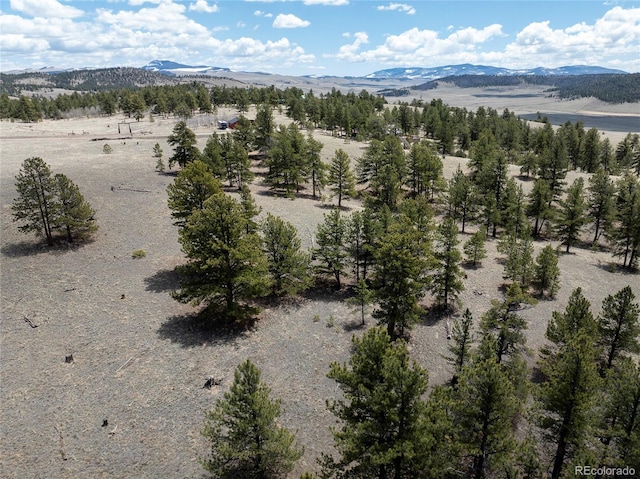 139 Wakonda Ln, Hartsel, CO 80449 - photo 13