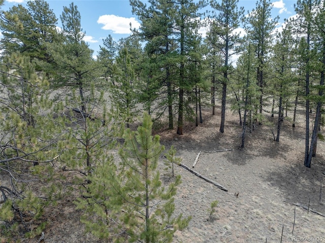 139 Wakonda Ln, Hartsel, CO 80449 - photo 14