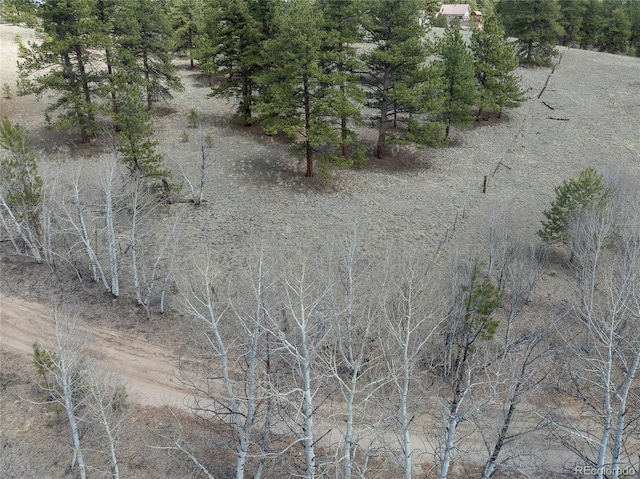 139 Wakonda Ln, Hartsel, CO 80449 - photo 16