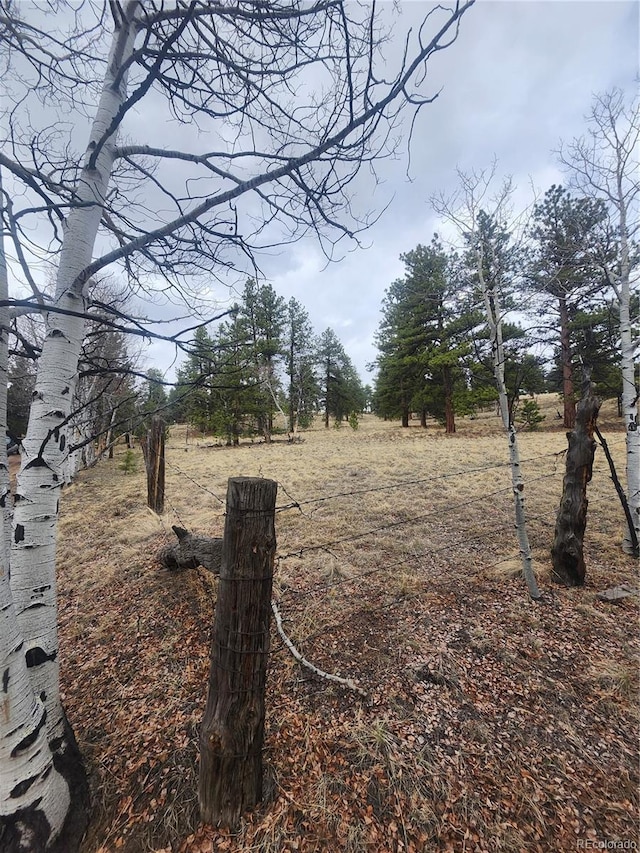 139 Wakonda Ln, Hartsel, CO 80449 - photo 18