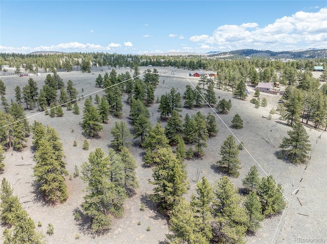 139 Wakonda Ln, Hartsel, CO 80449 - photo 19