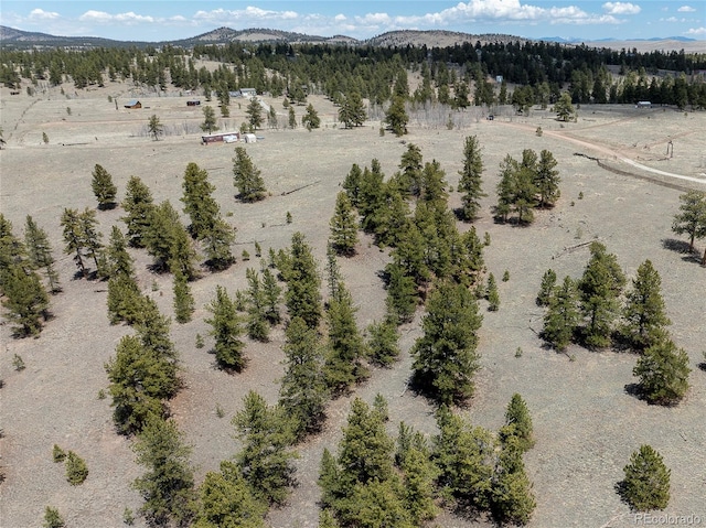 139 Wakonda Ln, Hartsel, CO 80449 - photo 21