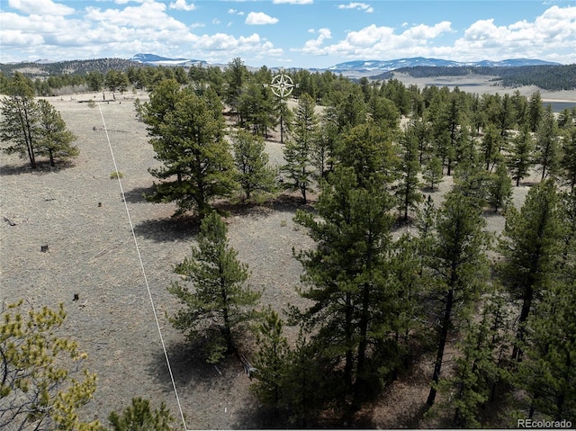 139 Wakonda Ln, Hartsel, CO 80449 - photo 23