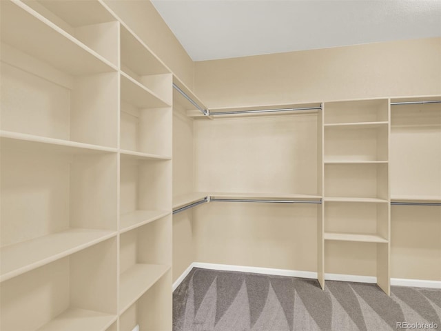 spacious closet with carpet