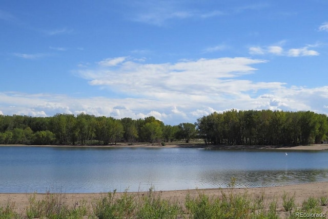 property view of water