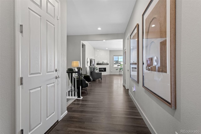 hall featuring dark wood-type flooring