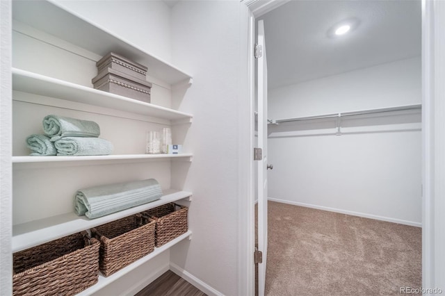 spacious closet with carpet floors