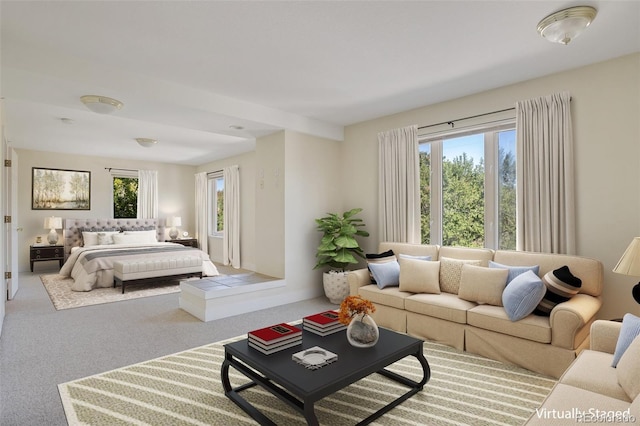 bedroom with carpet flooring