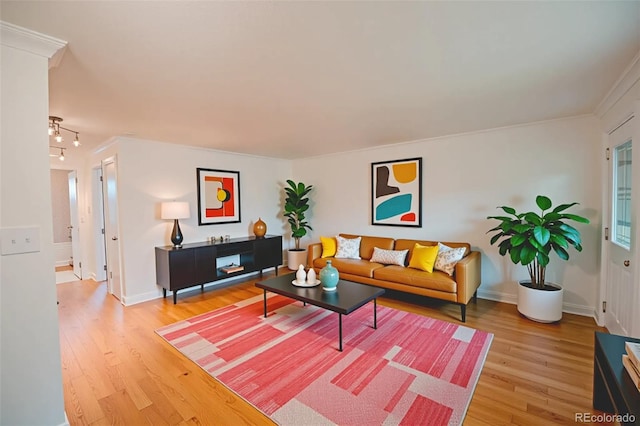 558 N Washington St Unit 103, Denver, CO 80203 - living area featuring light wood finished floors and crown molding