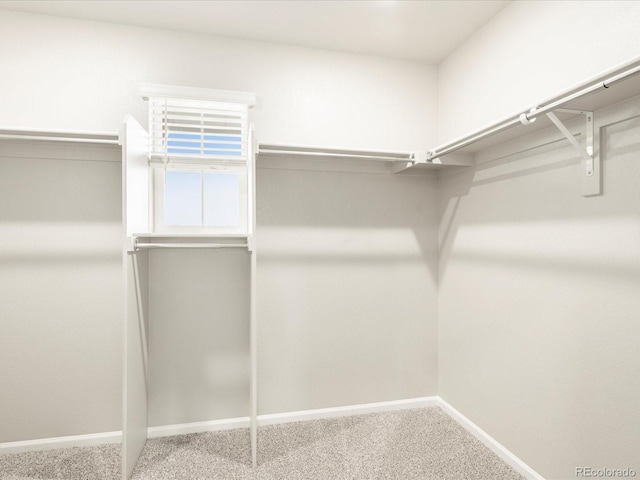 spacious closet with carpet