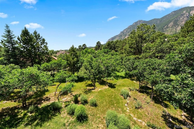 5120 Langdale Way, Colorado Springs, CO 80906 - mountain view featuring a forest