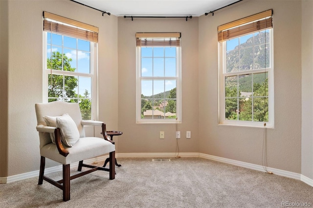 5120 Langdale Way, Colorado Springs, CO 80906 - living area featuring plenty of natural light and carpet