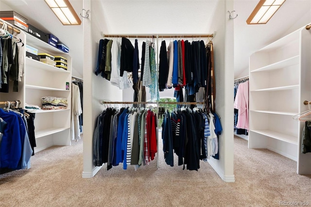 5120 Langdale Way, Colorado Springs, CO 80906 - spacious closet with carpet flooring