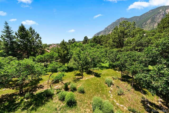 5120 Langdale Way, Colorado Springs, CO 80906 - photo 28