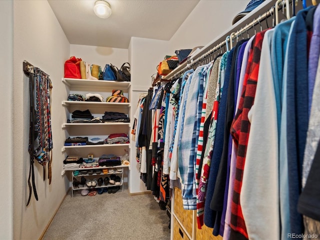 walk in closet with carpet flooring