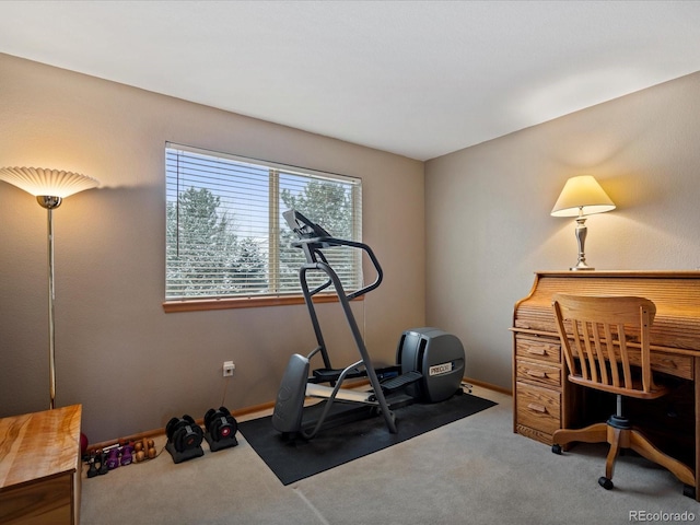 workout room featuring carpet floors