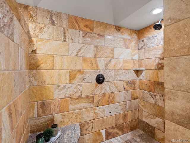 5884 S Hanover Way, Greenwood Village, CO 80111 - bathroom featuring a tile shower