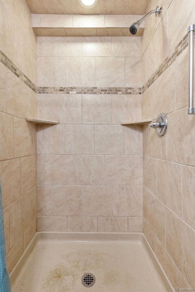 26063 Morris Ave, Conifer, CO 80433 - full bathroom with a tile shower