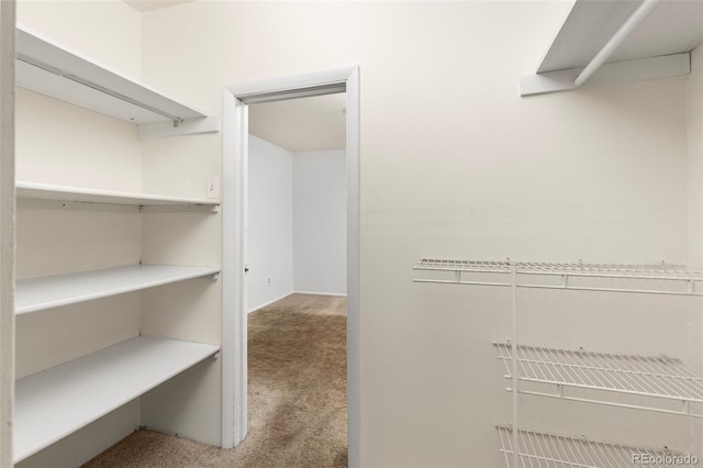 26063 Morris Ave, Conifer, CO 80433 - spacious closet featuring carpet flooring